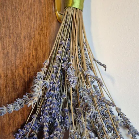 Lavenderleba